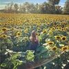 xfactor2v